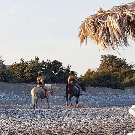 Lägenhet Cedrus And Sea, Beachfront House, Gennadi, Rhodes