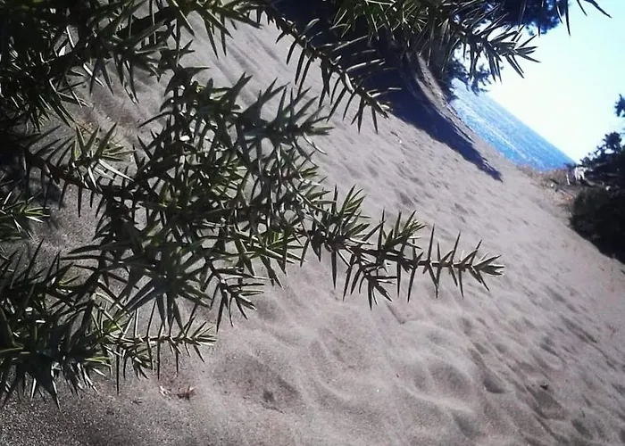 Cedrus And Sea, Beachfront House, Gennadi, Rhodes Lägenhet